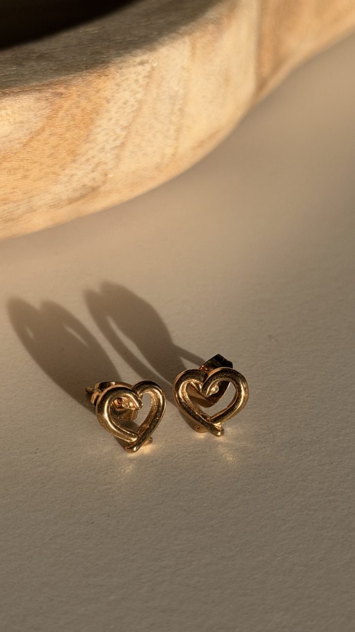 Pendientes CORAZÓN DISAYEN